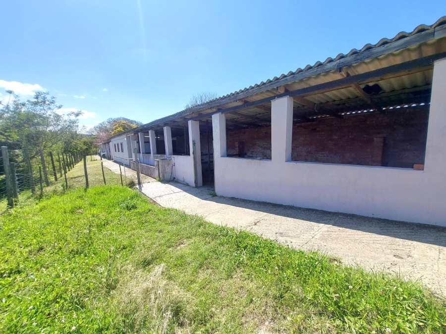 3 Bedroom Property for Sale in Meisies Halt Eastern Cape